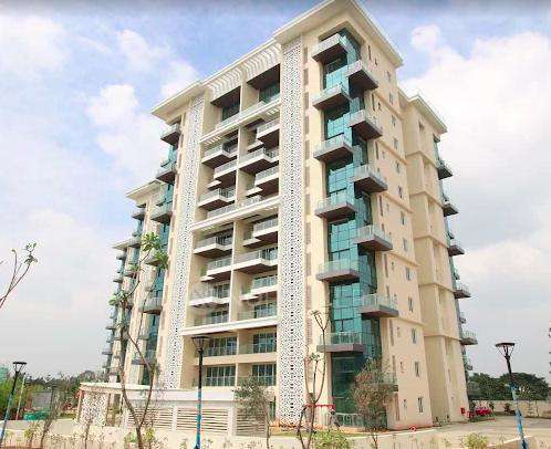 The Five Summits Address 