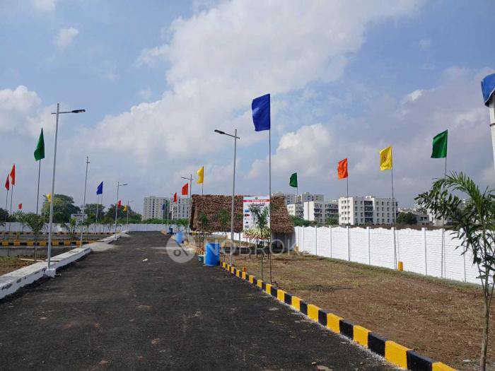 Madras Spring Field