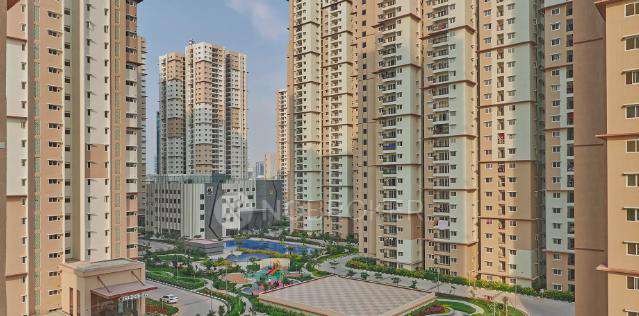 Prestige High Fields