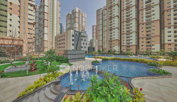 Prestige High Fields