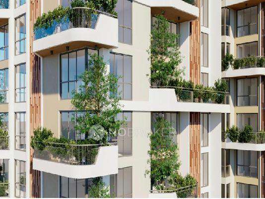 Mana Skandas The Right Life