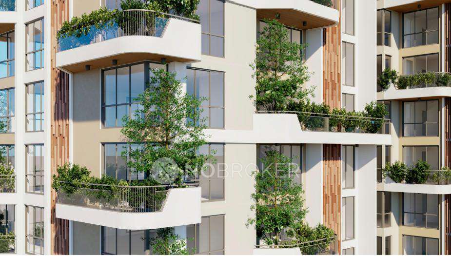 Mana Skandas The Right Life