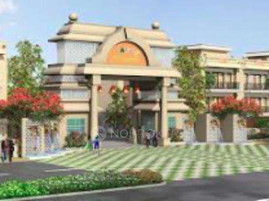 Orris Curio City Plots