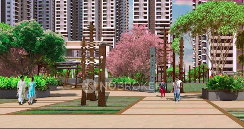 Rajapushpa Provincia