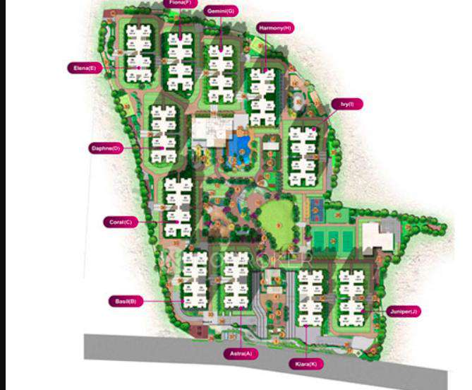 Rajapushpa Provincia