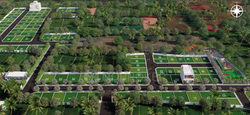 VGN Heritage Springz