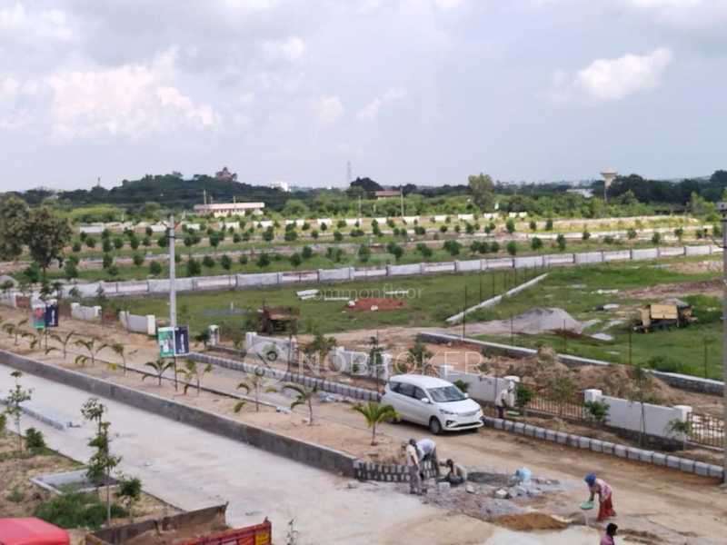 Prime LR Green Valley