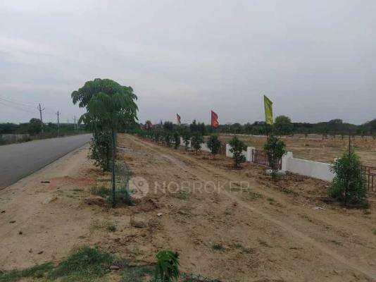 Prime LR Green Valley 