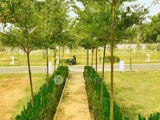 Springfields By Reilly Homes