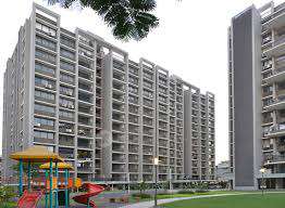 Scarlet Seawoods Height