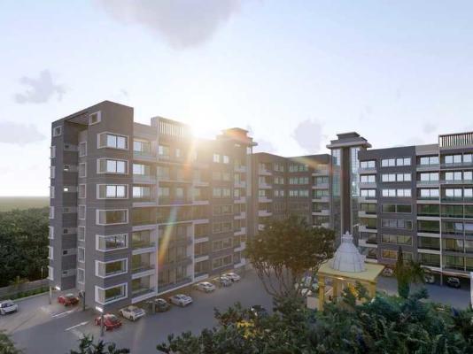 Panasia Life Established