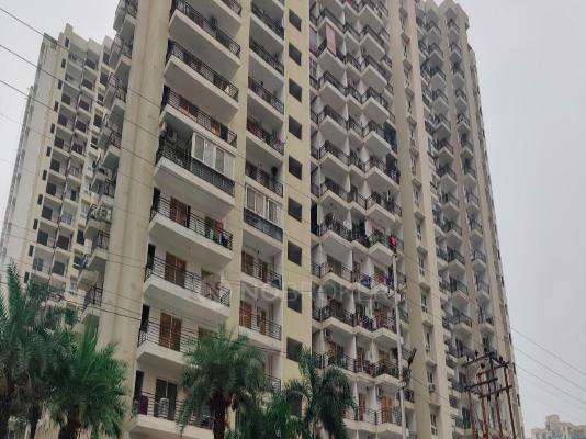 Mascot Patel Neotown