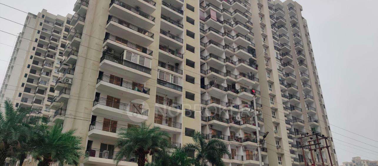 Mascot Patel Neotown