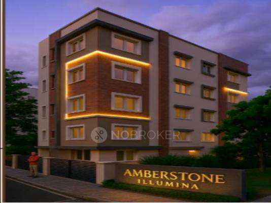 Amberstone Illumina