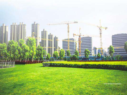 Sai Shradha The Greens