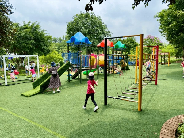 Angel Falcon Emerald Dunlin