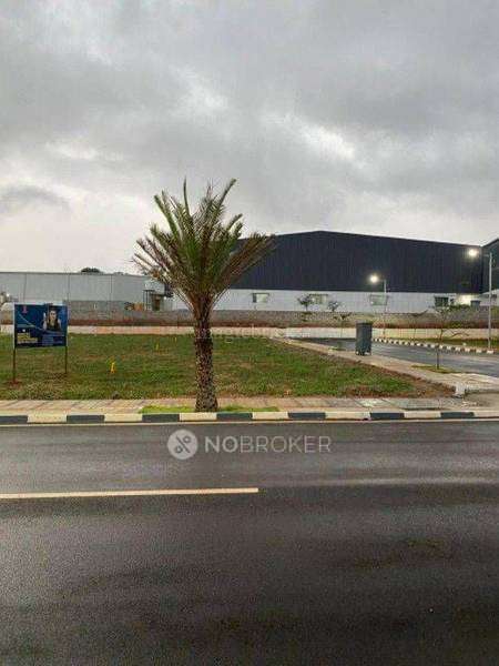 Manoj Spoorthy Divine