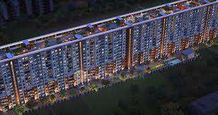 The Excella Platina Collection