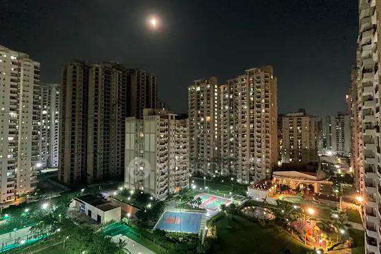 Nimbus The Golden Palms