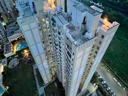 Nimbus The Golden Palms