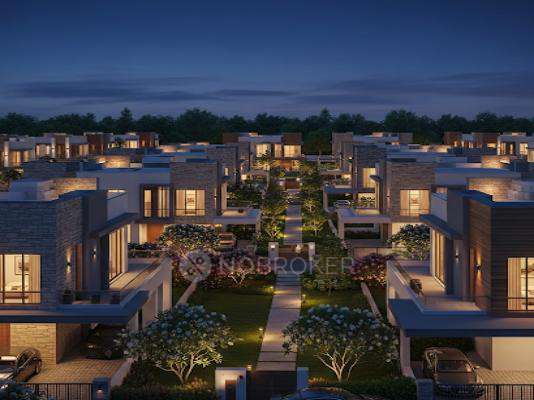 Sai Sun Palm Orchard