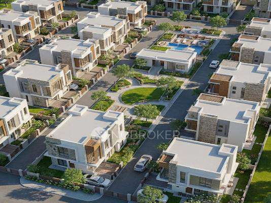 Sai Sun Palm Orchard