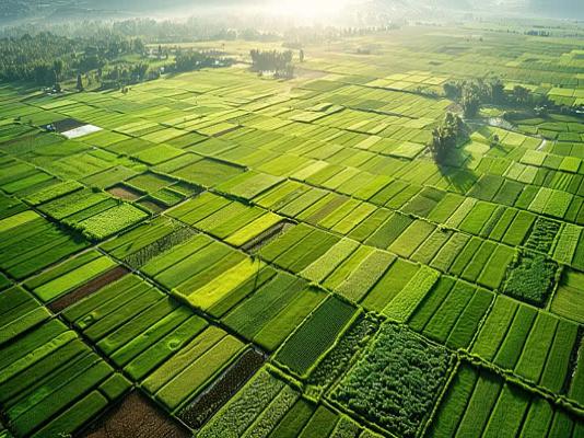 Max Concorde Sri Sri Tapovan
