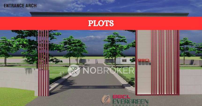 BBCL Evergreen