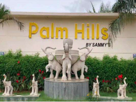 Sammys Palm Hills