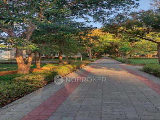 Avyanhp Sharayu Sidvin Symphony