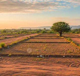 Kalpdeep Skylark Society