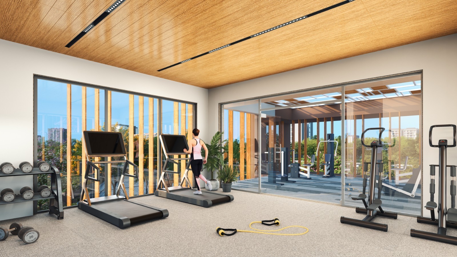 Codename Mallasandra