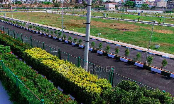 Millennia Spring Woods