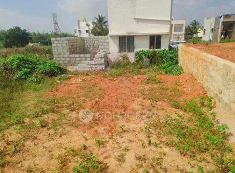 Millennia Spring Woods