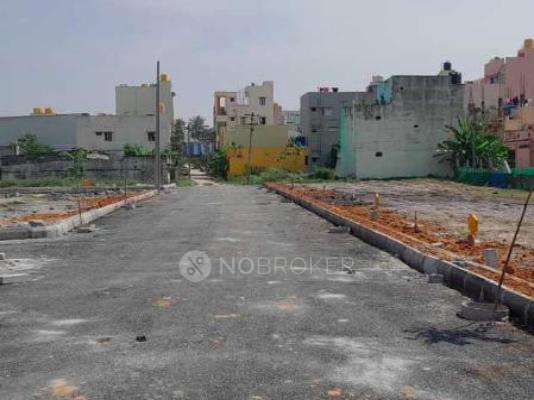 Millennia Spring Woods