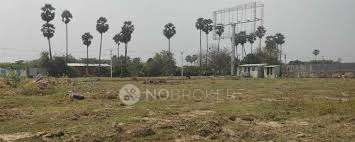 Samson Higrove Gardens Orr