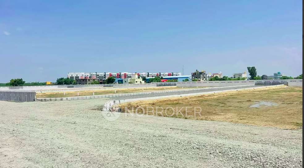 Value Serasa Destiny