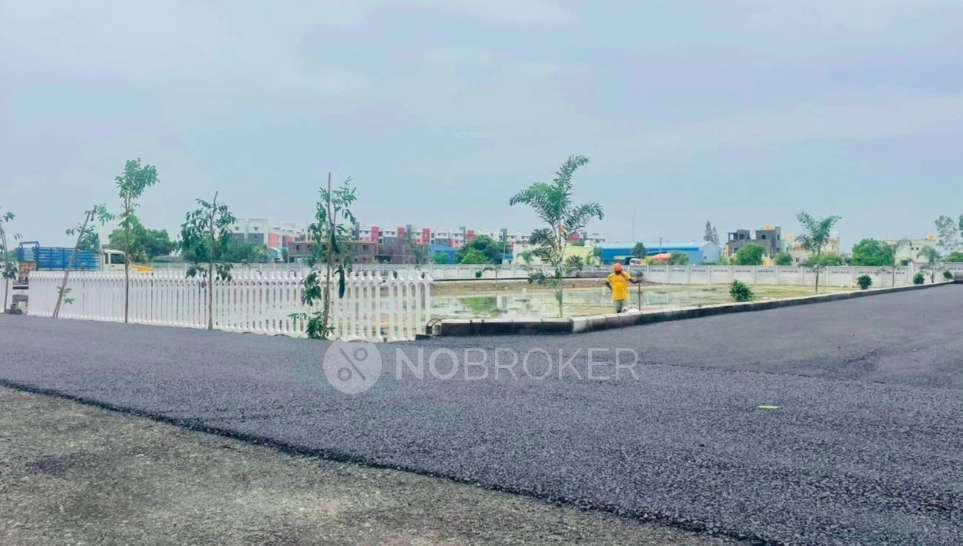 Value Serasa Destiny