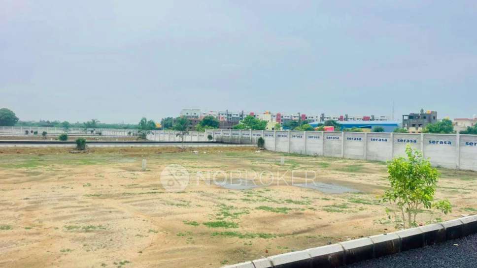 Value Serasa Destiny