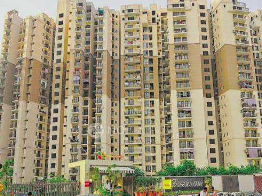 Logix Blossom County