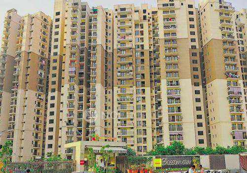 Logix Blossom County