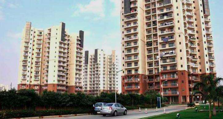 SS Delight and Splendours