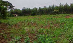 SSY Oasis Lakeview Residency