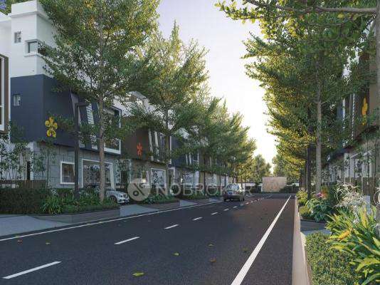 Riddhi Laxman County