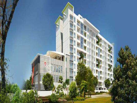 Builder's Project
