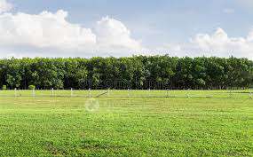 Mythri Habitat