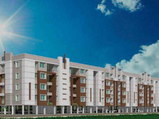 DABC No 18 Freesia Garden  