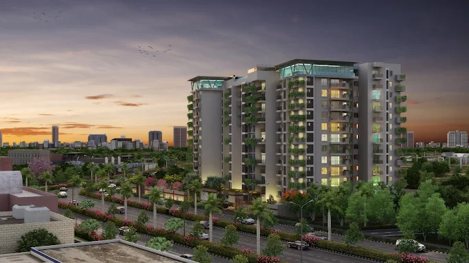 Kolte Patil 24K Grazio