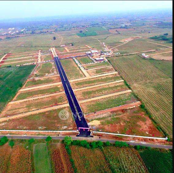 Elephantine Enormous