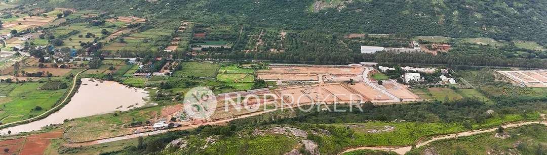 Whispers of the Wind